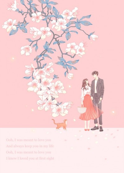 ��ޱ�׺���